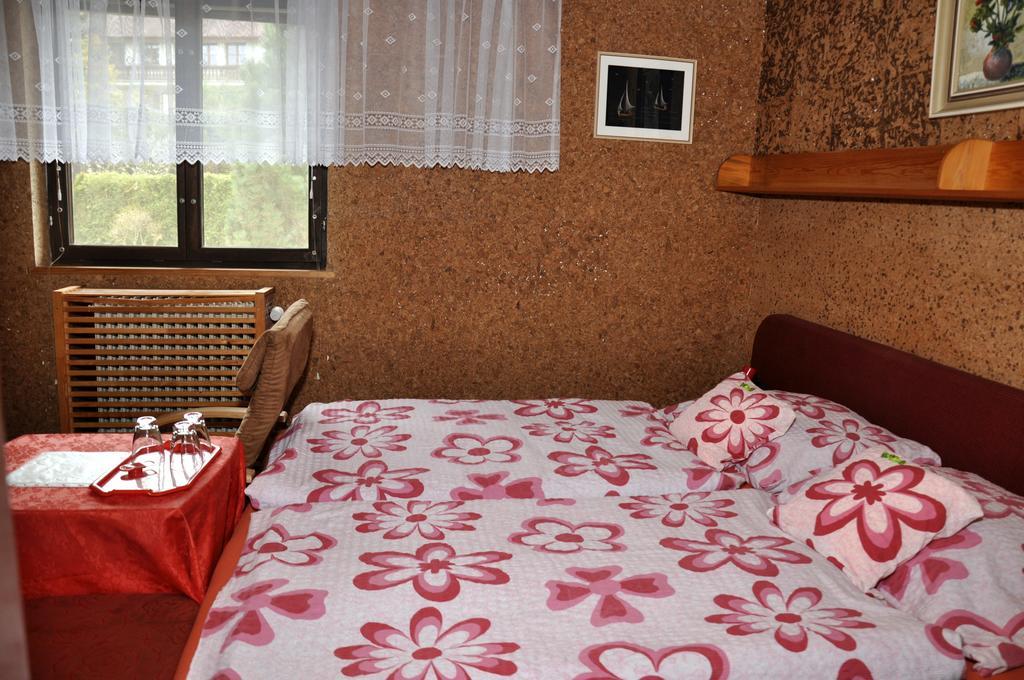 Pension Nika Чеський Крумлов Екстер'єр фото